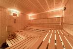 Sauna - Goldhornisse - Top-Hundeurlaub