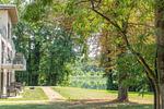 Terrasse - Rotmilan - Top-Hundeurlaub