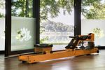 Fitness - Rotmilan - Top-Hundeurlaub