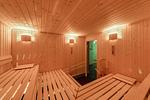 Sauna - Rotmilan - Top-Hundeurlaub
