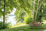 Strand - Rotmilan - Top-Hundeurlaub