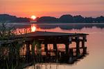 Strand - Rotmilan - Top-Hundeurlaub