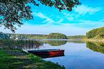 Honigbiene - Top-Hundeurlaub