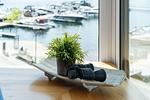 Ferienwohnung Panorama Suite Dekorationselement Fernglas - Panorama Suite - Top-Hundeurlaub