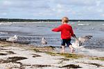 Ferienwohnung Bernsteinwind in Zingst - Urlaub mit Familie - Bernsteinwind - Top-Hundeurlaub