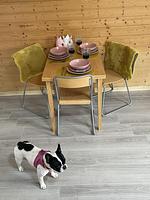 Ferien- und Monteurzimmer Phil - Top-Hundeurlaub