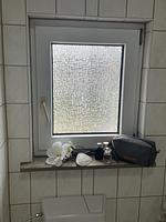 Ferien- und Monteurzimmer Phil - Top-Hundeurlaub