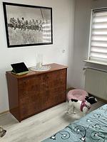 Ferien- und Monteurzimmer Phil - Top-Hundeurlaub