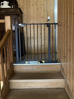 Ferien- und Monteurzimmer Phil - Top-Hundeurlaub