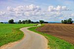 Landschaft - Waldgeflüster - Top-Hundeurlaub