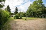 Ferienhaus Große Sommerliebe Waren (Müritz) - Weitläufiges Grundstück mit viel Grün, Natur pur und Parkgelegenheit - Große Sommerliebe - Top-Hundeurlaub