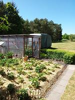 Ferienhaus am Saaler Bodden - Top-Hundeurlaub