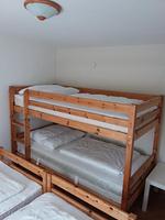 Ferienhaus am Saaler Bodden - Top-Hundeurlaub