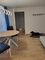 Wohnzimmer - Altenkirchen - Fewo Lanckensburg 2 - Top-Hundeurlaub