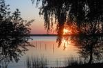 Landschaft - Abendsonne - Top-Hundeurlaub