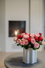 Kampens Herzstück - Top-Hundeurlaub