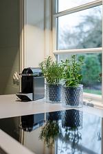 Kampens Herzstück - Top-Hundeurlaub