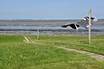 Hallig Hüs 2 - Top-Hundeurlaub