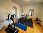 Privater Fitnessraum im Seegut Hovmantorp in Hovmantorp, Småland - Seegut Hovmantorp - Top-Hundeurlaub