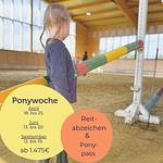 Sport / Aktivitäten - Ponywoche - Top-Hundeurlaub