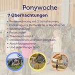 Sport / Aktivitäten - Ponywoche - Top-Hundeurlaub