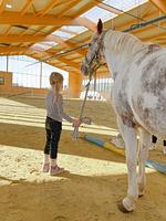 Sport / Aktivitäten - Ponywoche - Top-Hundeurlaub