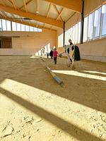 Sport / Aktivitäten - Ponywoche - Top-Hundeurlaub