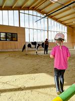 Sport / Aktivitäten - Ponywoche - Top-Hundeurlaub