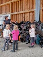 Sport / Aktivitäten - Ponywoche - Top-Hundeurlaub