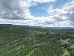 Landschaft und Wälder rund um Vansbro in Dalarna - Nordic Haven - Top-Hundeurlaub