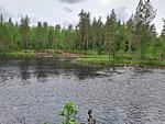 Landschaft mit See und Wald in der Umgebung von Vansbro in Dalarna - Nordic Haven - Top-Hundeurlaub