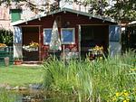 Anitas Ostseefewo Nähe Lübeck - Top-Hundeurlaub