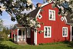 Villa Lilla Ferienhaus in Viserum Småland – klassisches rotes Schwedenhaus in Astrid Lindgren Region - Villa Lilla - Top-Hundeurlaub