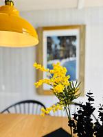 Dekoratives Detail - Ferienhaus Trollblume - St. Andreasberg im Harz - Top-Hundeurlaub