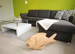 Wohnzimmer - Ferienwohnung Evergreen inkl. Saisonstrandkorb - Top-Hundeurlaub