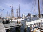 Ferienwohnung Am Hafen - Top-Hundeurlaub