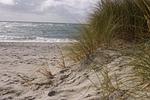 Strand - Ruhetal - Top-Hundeurlaub