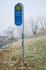 Nachbarschaft - Ferienhaus Harzchen 49 - St. Andreasberg im Harz - Top-Hundeurlaub