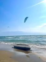 Strand - Ferienwohnung La Camargue - Top-Hundeurlaub