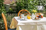 Sonnenhotel Adler Spa & Nature Adults only - Top-Hundeurlaub