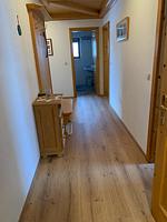 Sonnenappartement - Top-Hundeurlaub