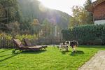 VIKTORIA LODGES - Top-Hundeurlaub