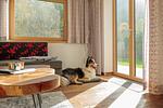VIKTORIA LODGES - Top-Hundeurlaub
