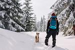 VIKTORIA LODGES - Top-Hundeurlaub