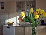 Ferienwohnung Nordseeperle - Top-Hundeurlaub