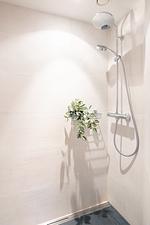 Brockenoase Fullhouse - Top-Hundeurlaub