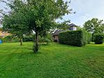 Garten - Ferienwohnung Seehund Norddeich - Top-Hundeurlaub