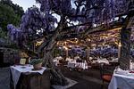 Swiss Historic & Garten Hotel*** Villa Carona - Top-Hundeurlaub