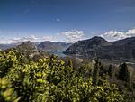 Swiss Historic & Garten Hotel*** Villa Carona - Top-Hundeurlaub