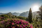 Swiss Historic & Garten Hotel*** Villa Carona - Top-Hundeurlaub